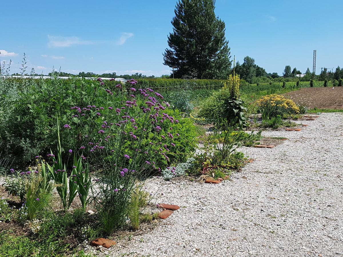 Agriturismo Frascje Dai Spadons Villa Pradamano Eksteriør bilde