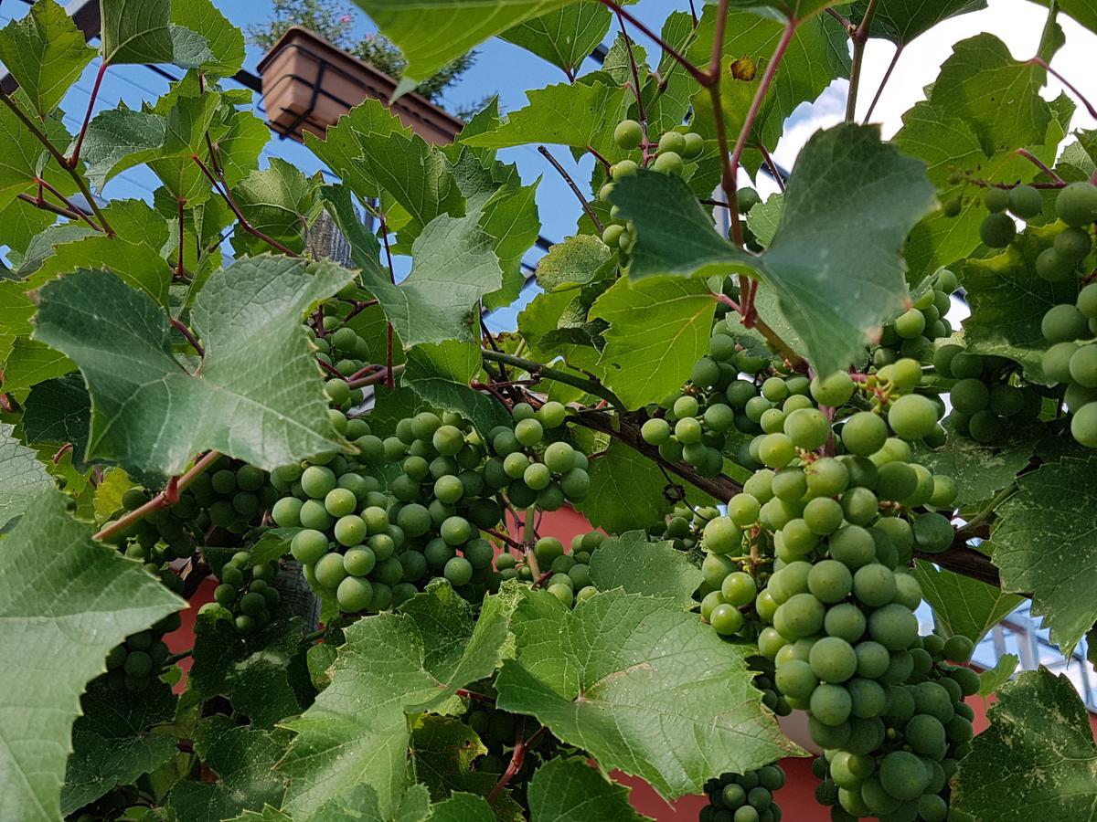 Agriturismo Frascje Dai Spadons Villa Pradamano Eksteriør bilde